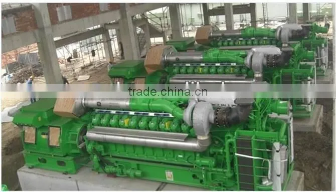500KW/1MW New Energy Waste Biomass Power Plant/Biogas Generation Project