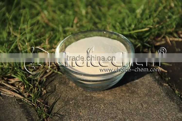 food grade Xanthan Gum manufacturer price