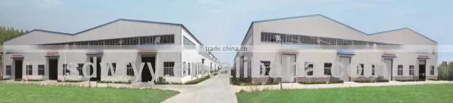 oil drilling hydraulic cylinder from China