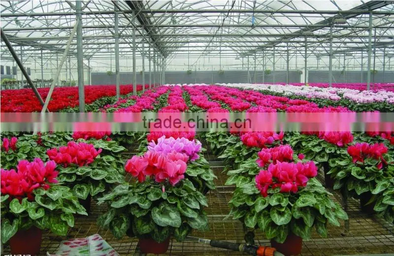 Anti-fog and UV-protection garden greenhouse,fiberglass greenhouse covering,commercial hothouses