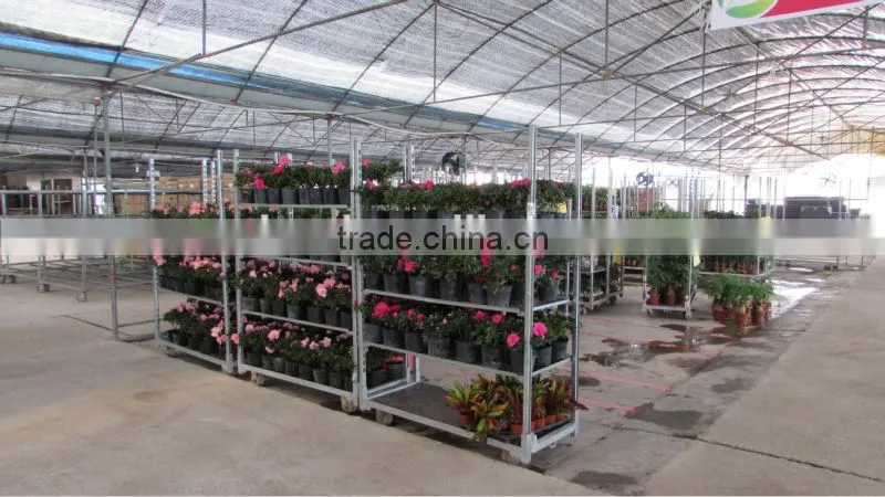 A20 flower&plant pot display trolley gardening equipment