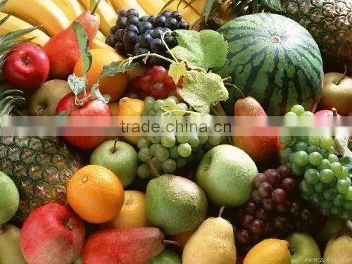 Verisimilar red pepper/decoration plastic vegetables
