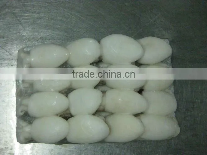 FROZEN BABY CUTTLEFISH