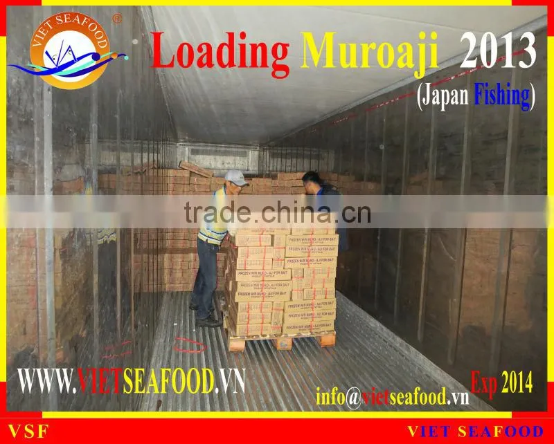 LOADING MUROAJI FOR TUNA BAIT