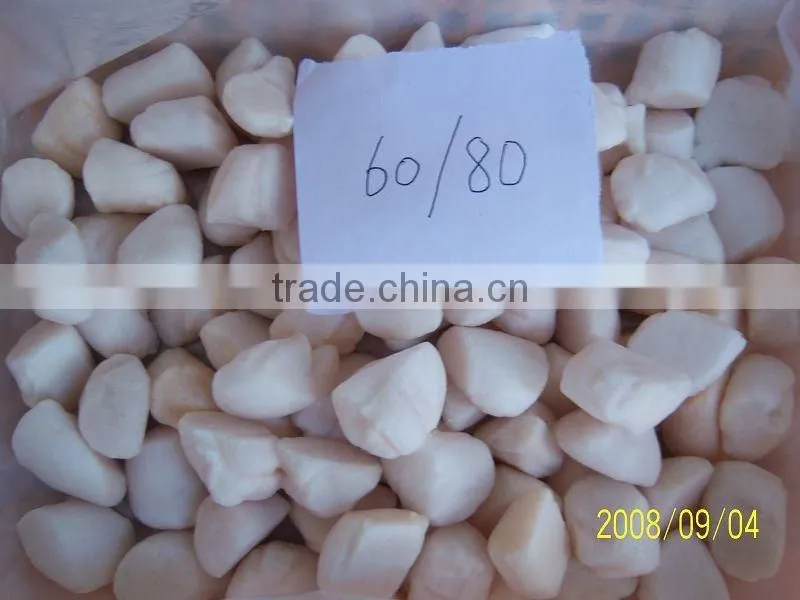 Frozen Scallop Meat,IQF
