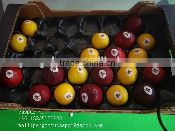 Chinese gold manufacturers plastic Fruit Tray with cells