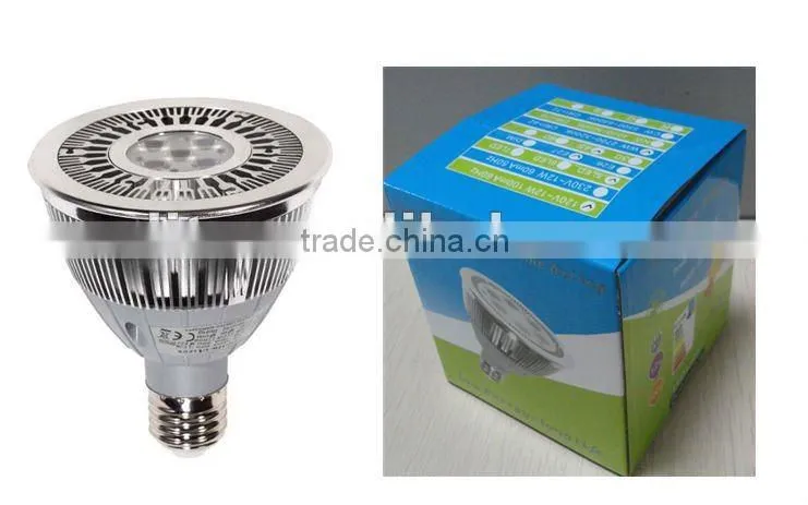 PAR38 Led Lamp