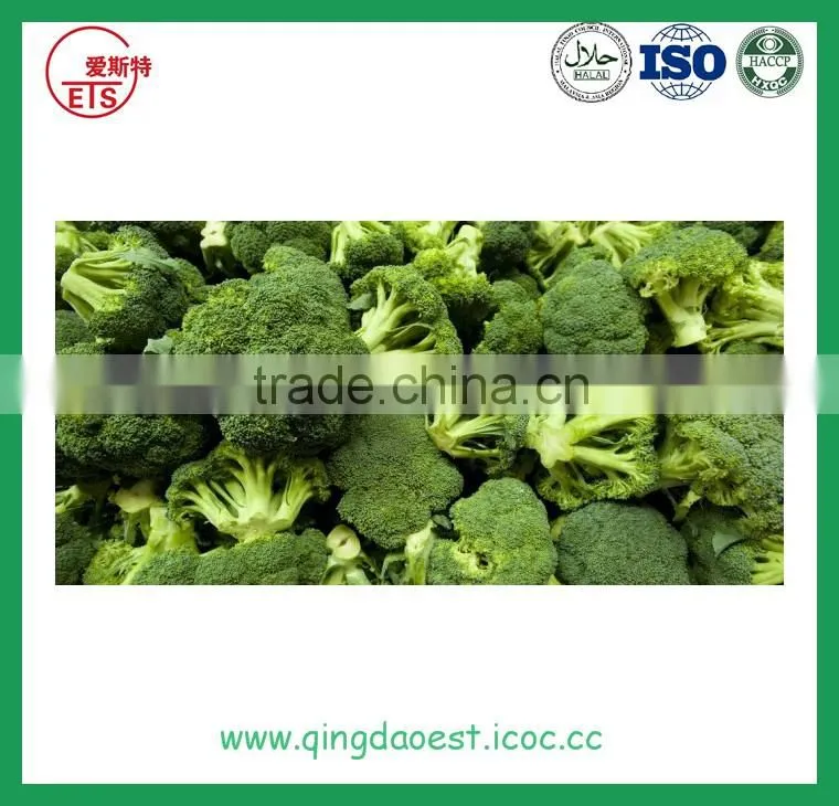 High quality Chinese Fresh Broccoli