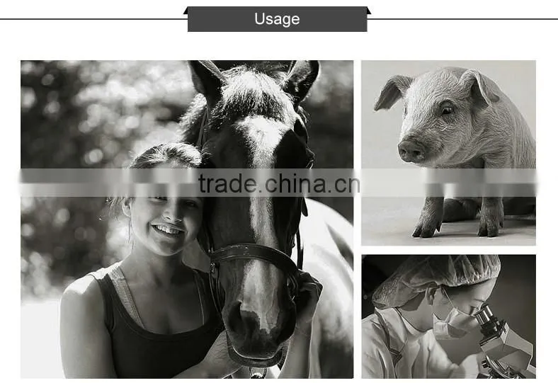 ISO CE FDA Approved Vet Wrap Cohesive Bandage