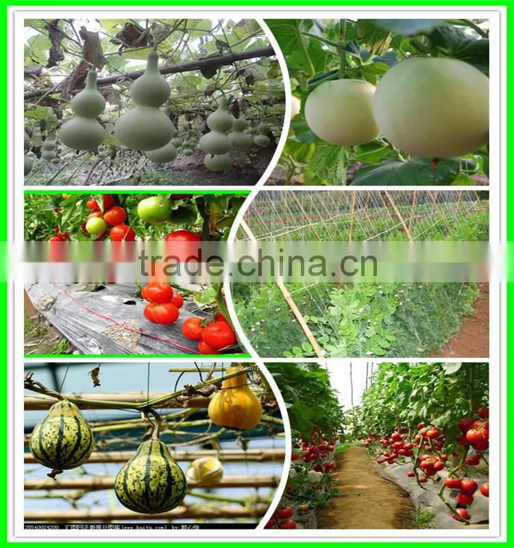 SUPER wire mesh back support for growing plants climbing plant support mesh
