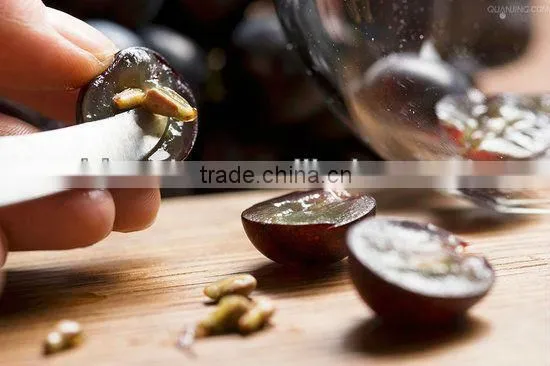 GMP 95% proanthocyanidine grape seed extract (high orac value)