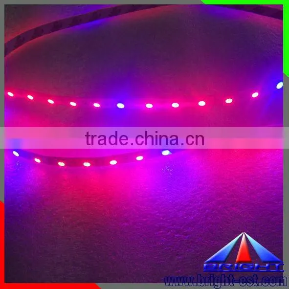 Red and Blue Color Grow Light Flexible Led SMD 5050