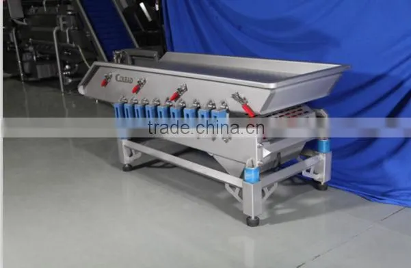 bean sprout washing and peeling machine line