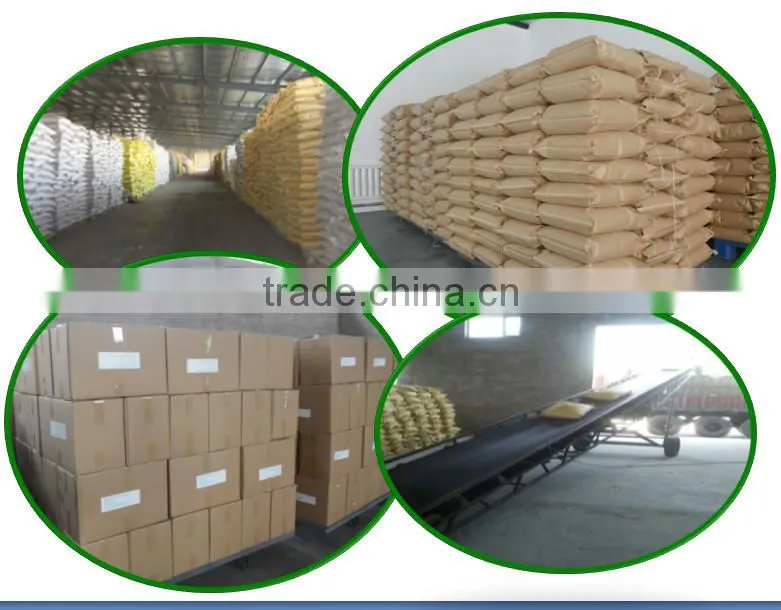 New Crop High Quality Wholesale Pumpkin Seeds /Dark Green Pumpkin Seeds