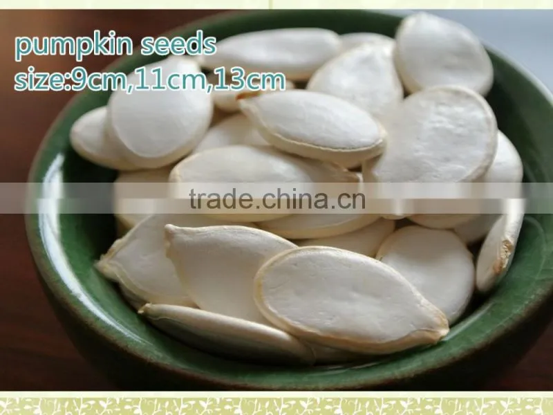 New Crop High Quality Snow White Pumpkin Seeds, Certified!