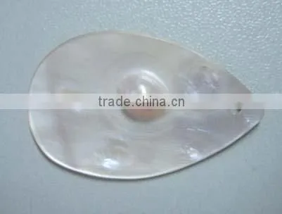 shell buckle