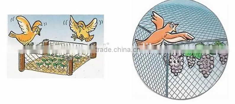 Bird Netting for Fruit Trees treated with UV with original HDPE plastic netting, commercial plastic knitted mesh anti bird net