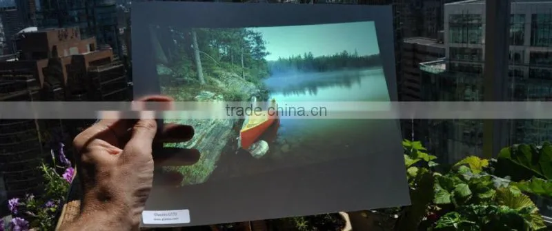 popular holographic effect tranaparent rear projection screen film