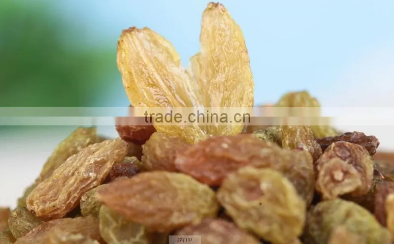 dried fruits green seedless raisin fruit products