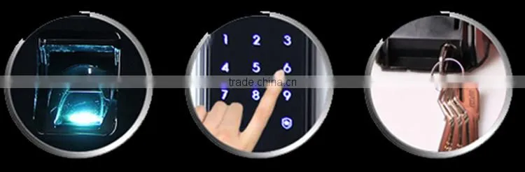 the Intelligent Electric Bolt Lock With Fingerprint and Password