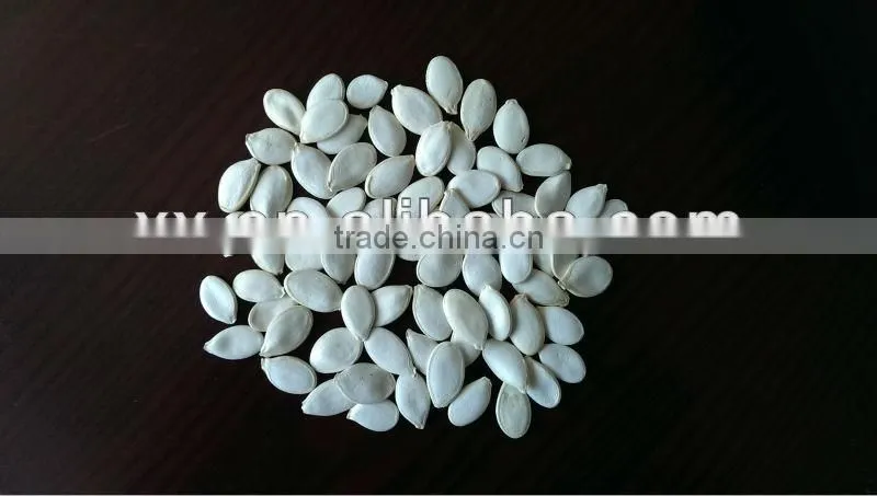 2015 new crop high quality hot sale pumpkin seeds kernel powder