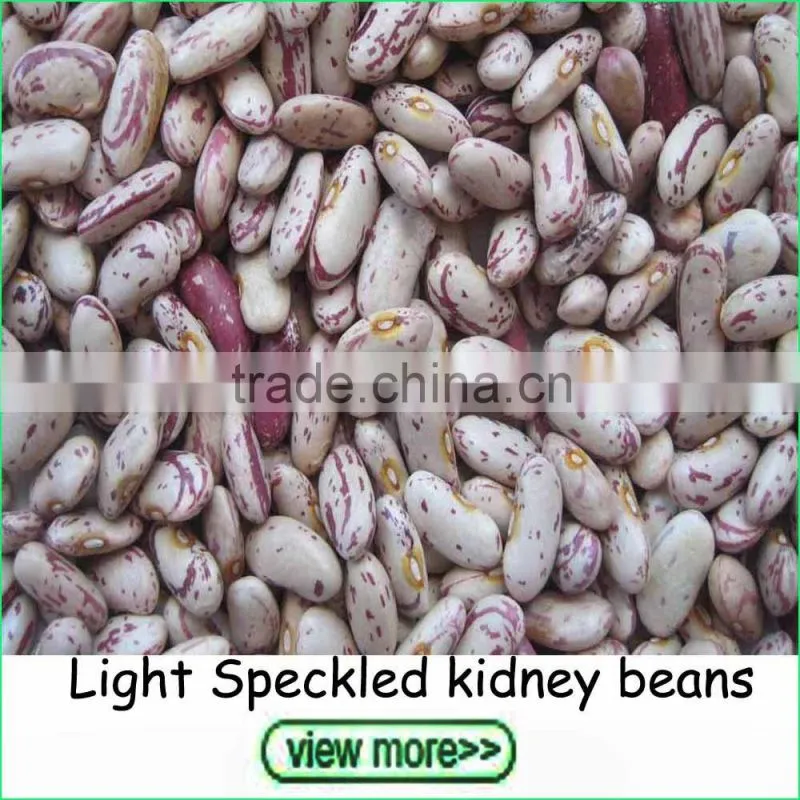 2016 Crop small size white kidney beans navy beans