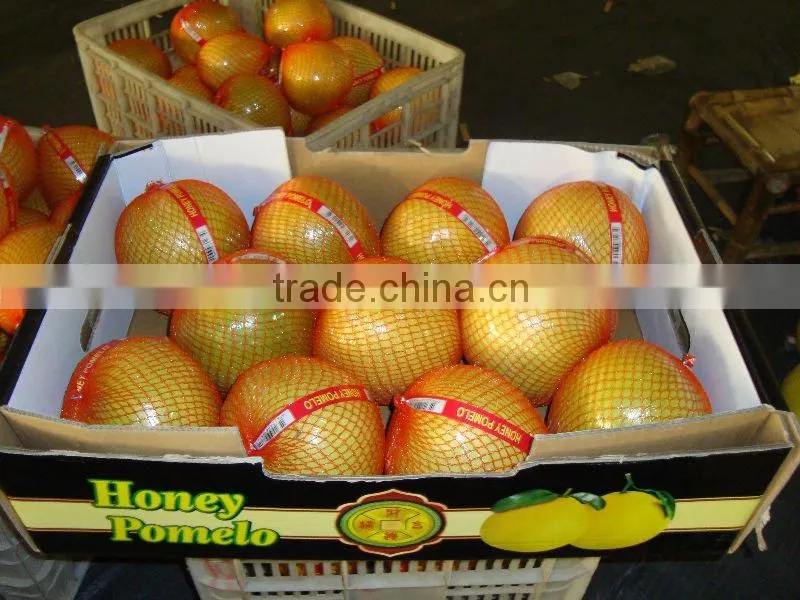 Chinese Honey Pomelo Fruit