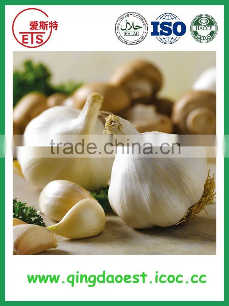 2016 shandong white garlic price