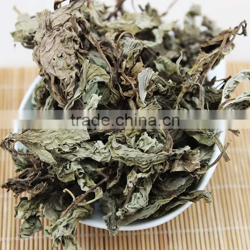 dried mint leaf,spearmint tea,organic spearmint tea