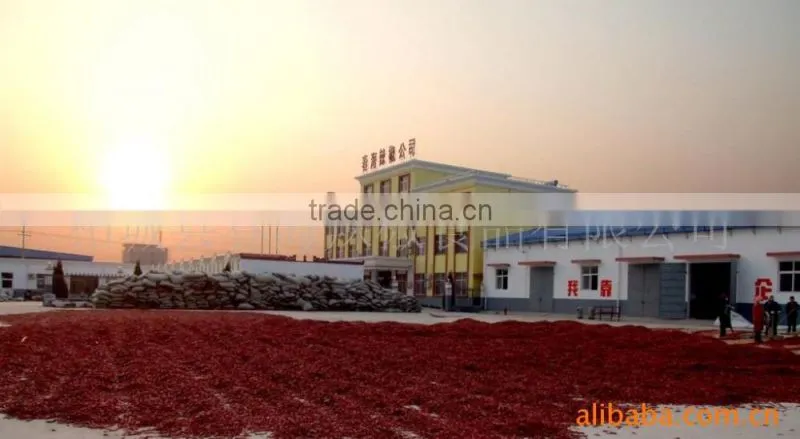 China HACCP, HALAL certificates hot selling in TAIWAI, Canada, Austrila dried cutting chilli rings and chili pepper rings