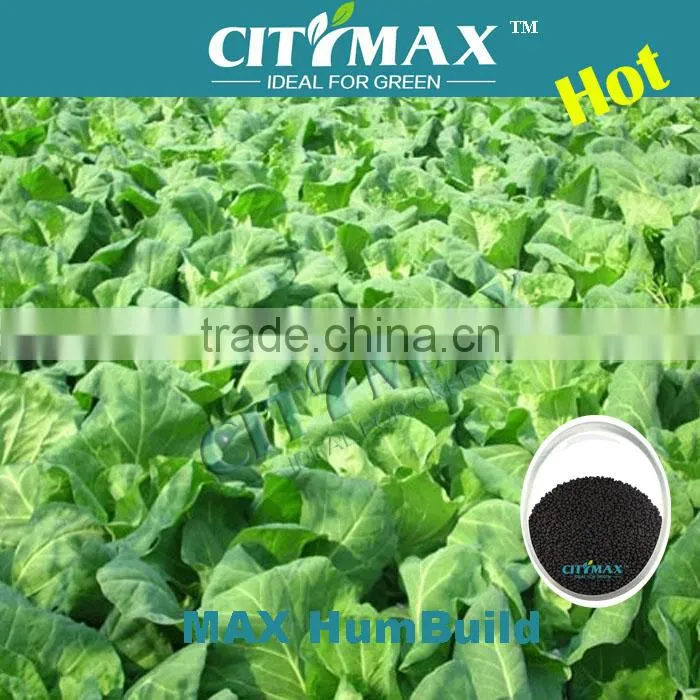 60% Humic Acid For Vegetables Fertilizer