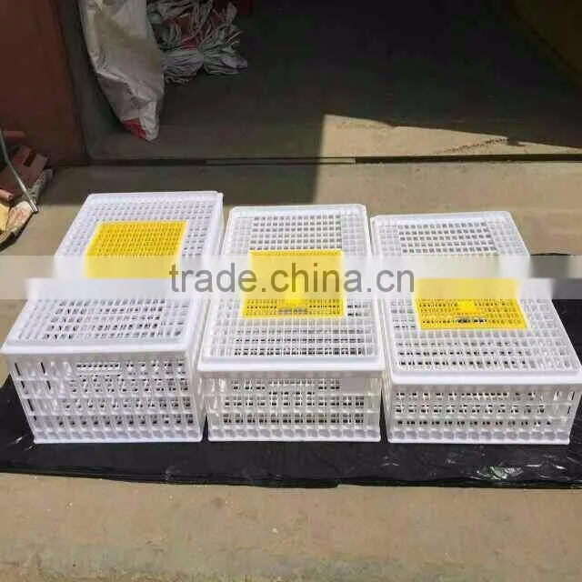 china best price plastic chicken transport cage for poultry farms