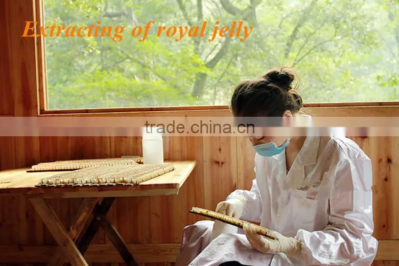 Fresh Activily 5.0 10-HDA Royal Jelly Tablet Of Royal Jelly Extract With Excellent Quality