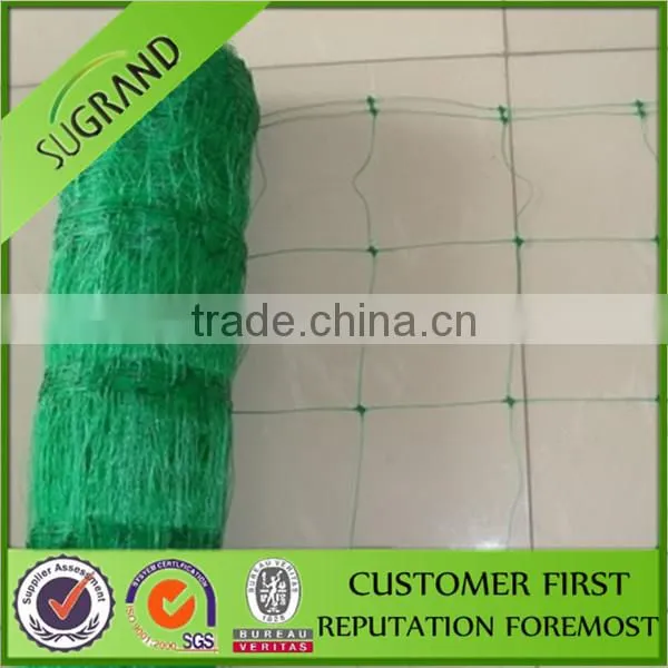 China supplier/ garden use support for climbing plants