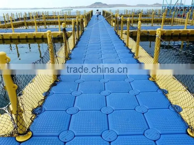blow molded factory form china