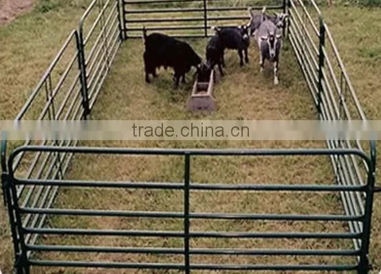 manufactory direct heavy duty galvanized Corral fence cattle panel