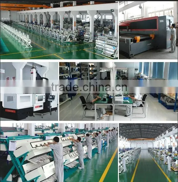 Metak Belt Type Potato Sorting Machine
