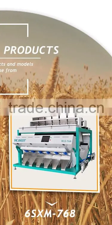 CHINA plastics color sorter manufacturer/plastic flakes color sorter/PP plastics sorting machine
