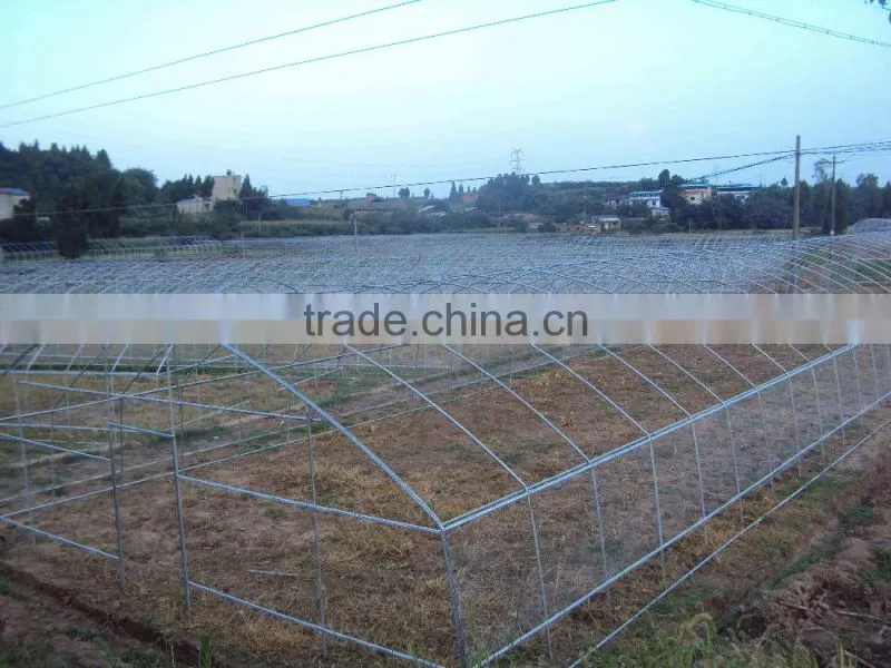 Single-Span agricultural planting plastic greenhouse
