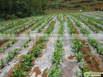 agricultural plastic film