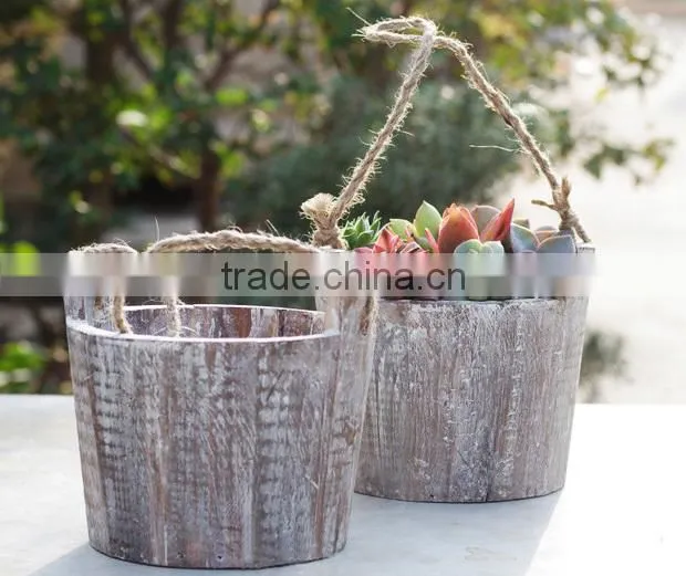 Succulent plant small wood hanging planter