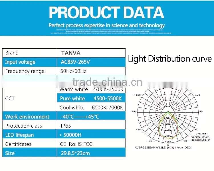 Bridgelux LED Flood Light 100 Watt