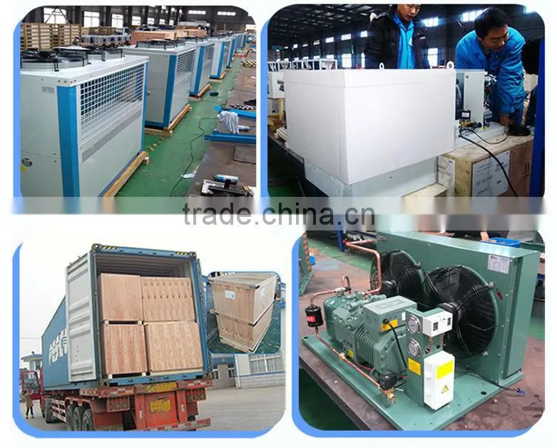 Air cooled condensing units for cold storage