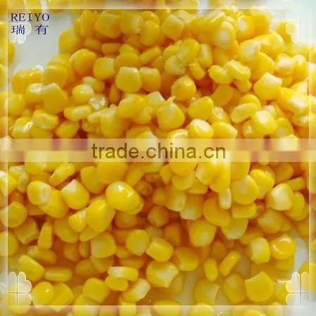 canned sweet corn in brine in tins 425g