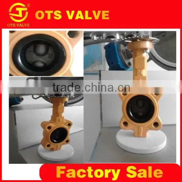 BV-LY-0078lug type worm gear actuated wafer screw type butterfly valve