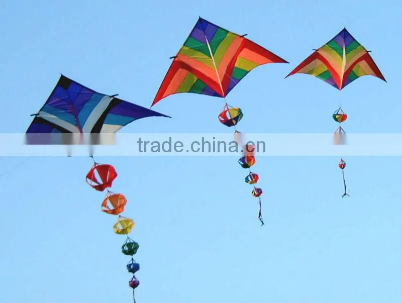 3m delta kite