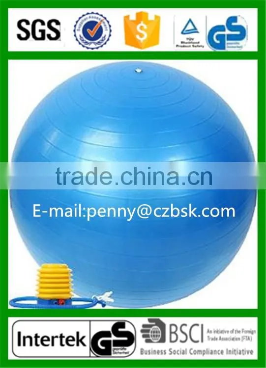 Yoga Custom Stability Ball with Pump Wholesale