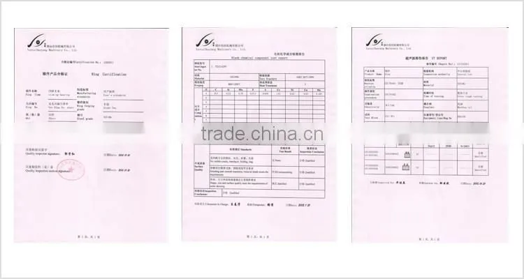 Crossed Roller Slewing Bearing for energy