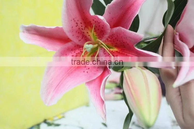 Most popular best selling lilies real touch