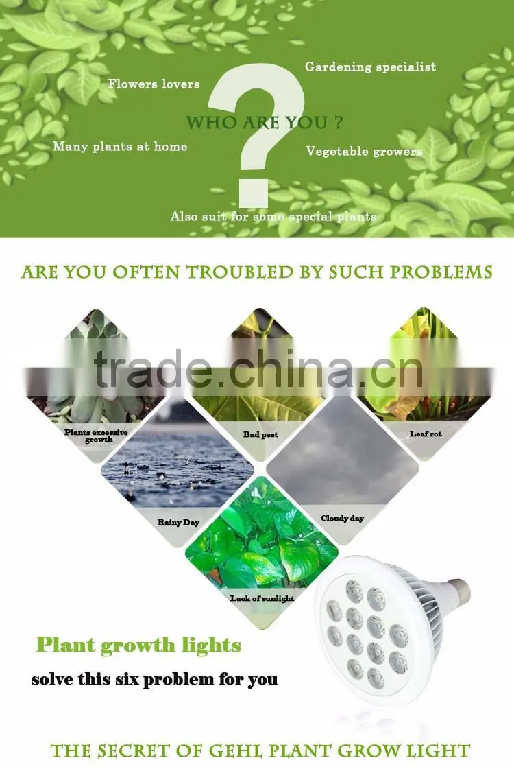 Hydroponic systems E27 PAR38 led light bulbs for tiny houses using